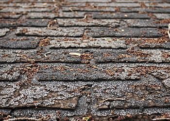 G&L Roofing Images